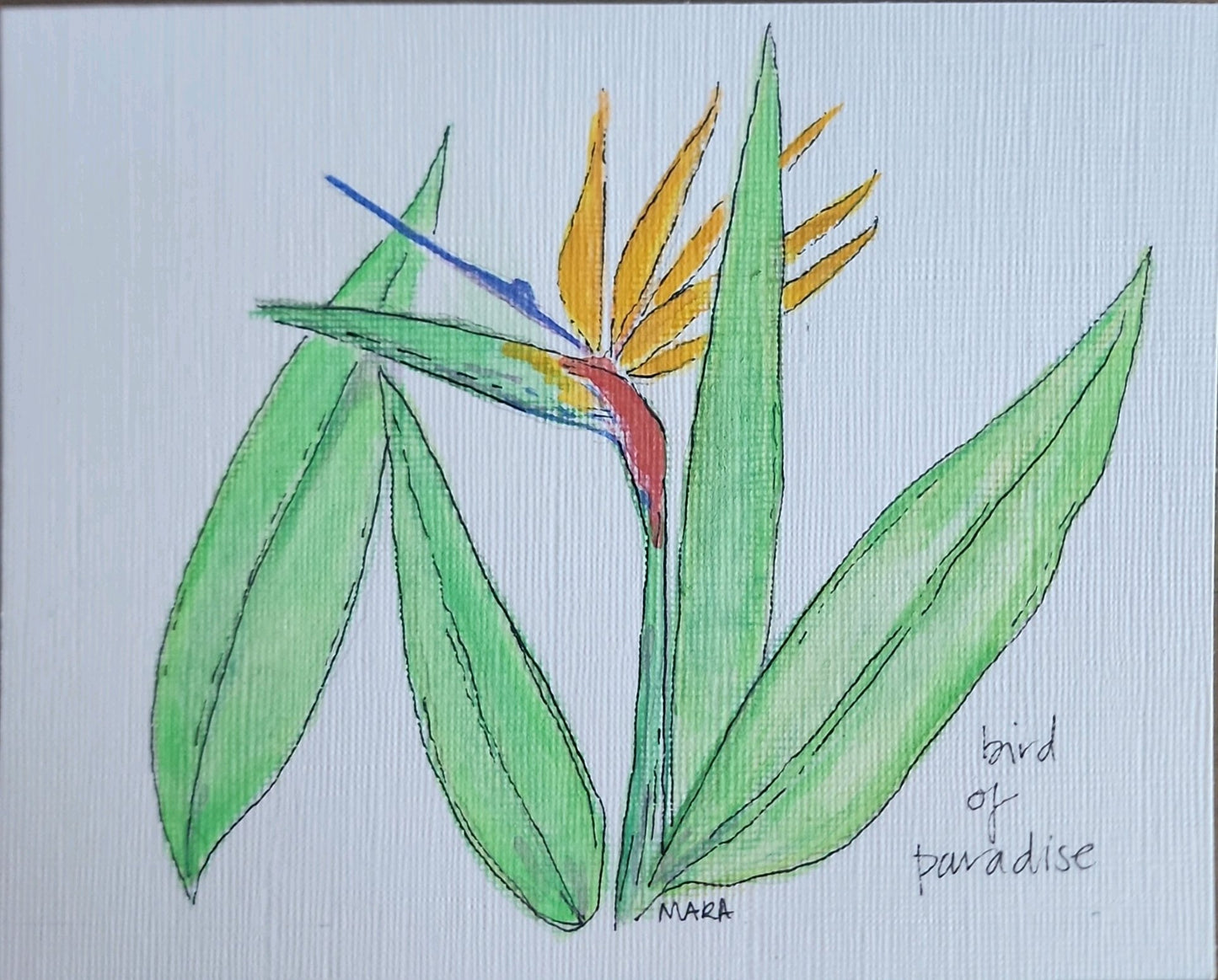 Note cards