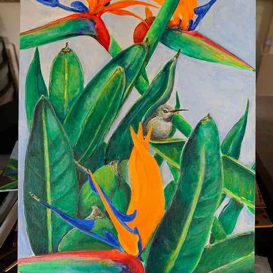 Hummingbird in Paradise