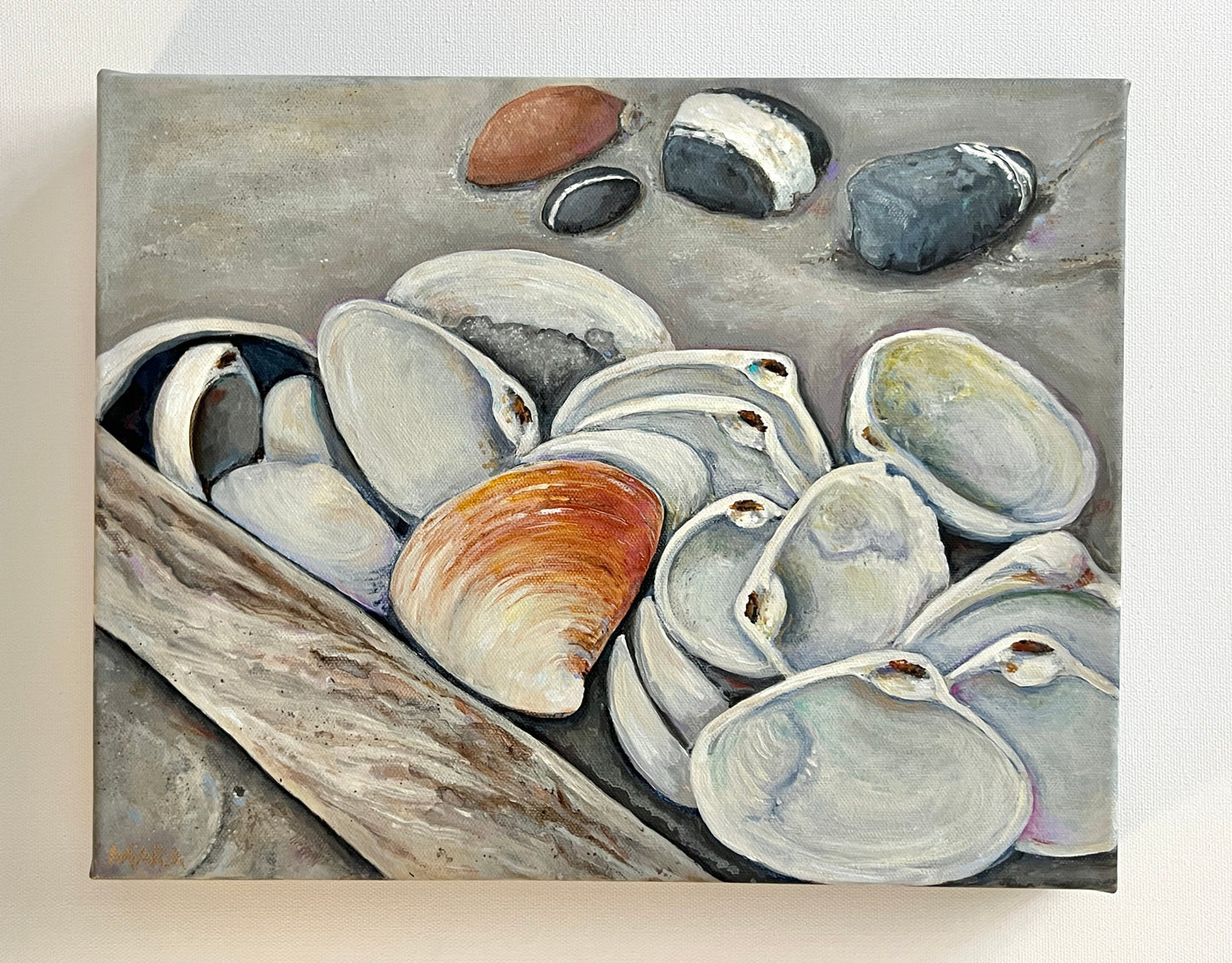 Westport Shells SOLD