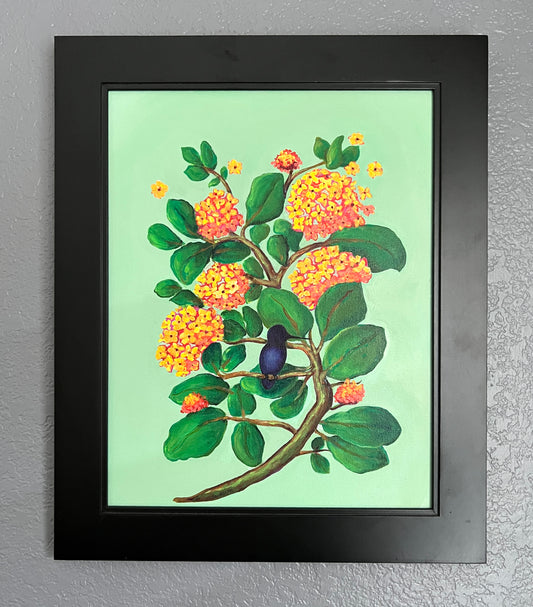 Hummingbird in the Shade