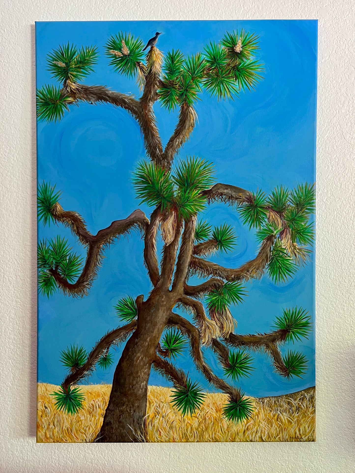 Roadrunner in the Catbird Seat