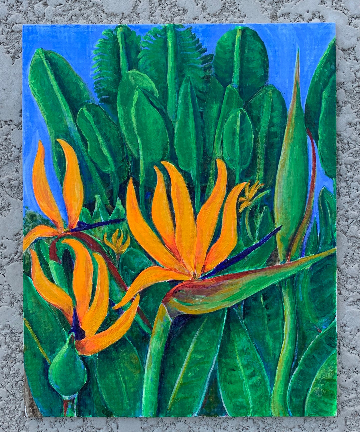 Hummingbird in Paradise