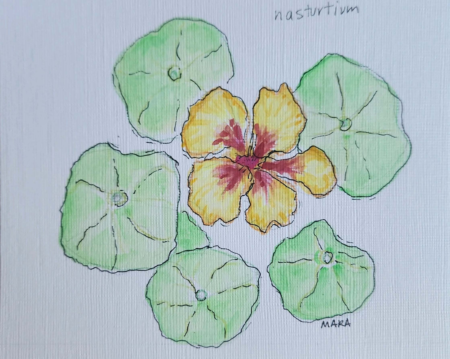Note cards