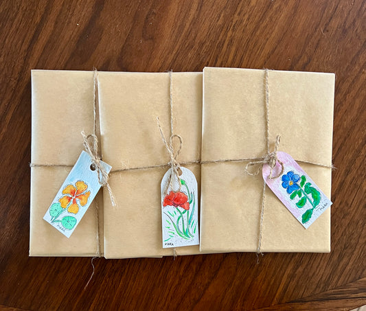 Hand-painted Postcards from the Garden