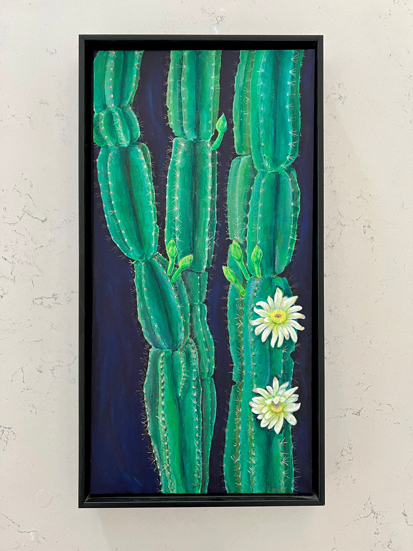 Peruvian Apple Cactus