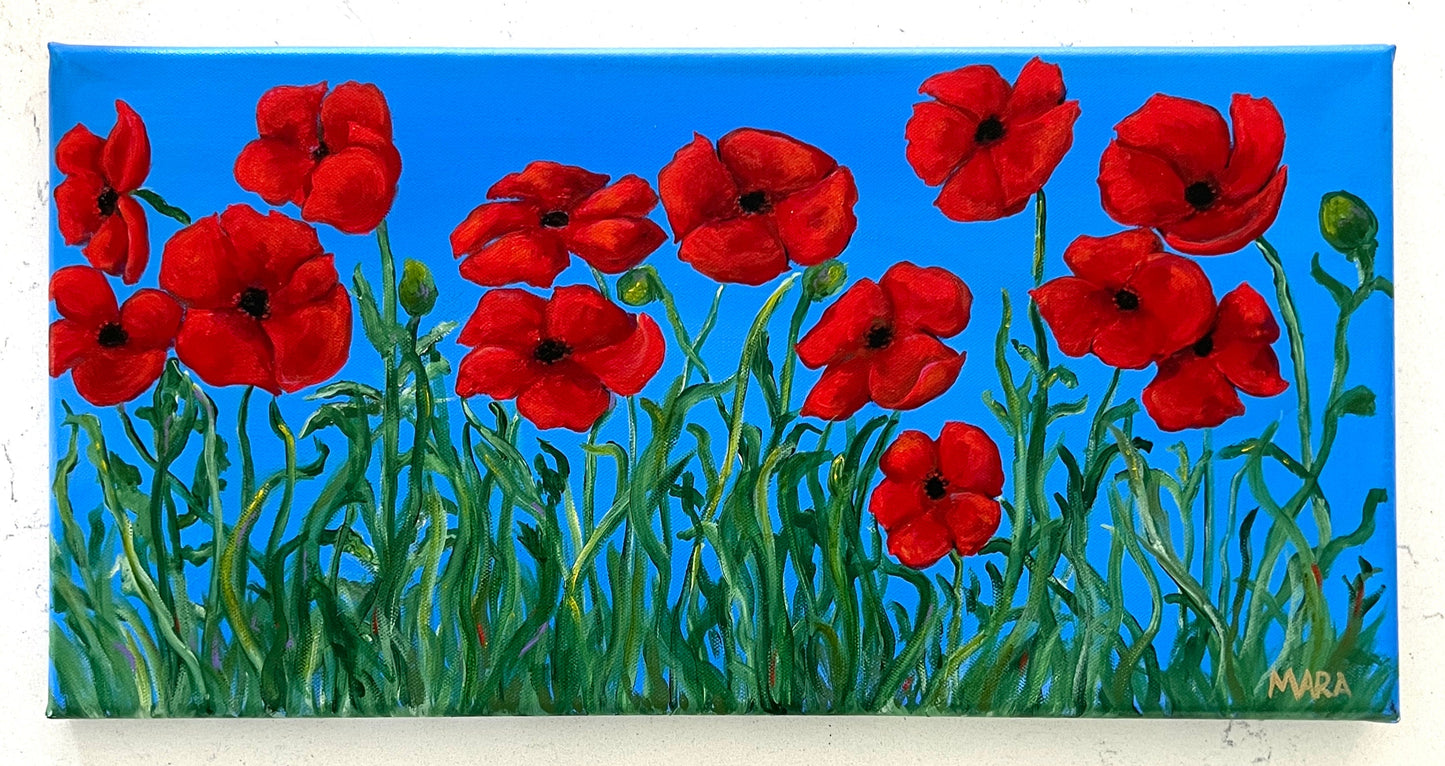 Poppies