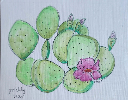 Note cards